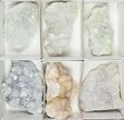 Mixed Indian Mineral & Crystal Flat - Pieces #95615-2